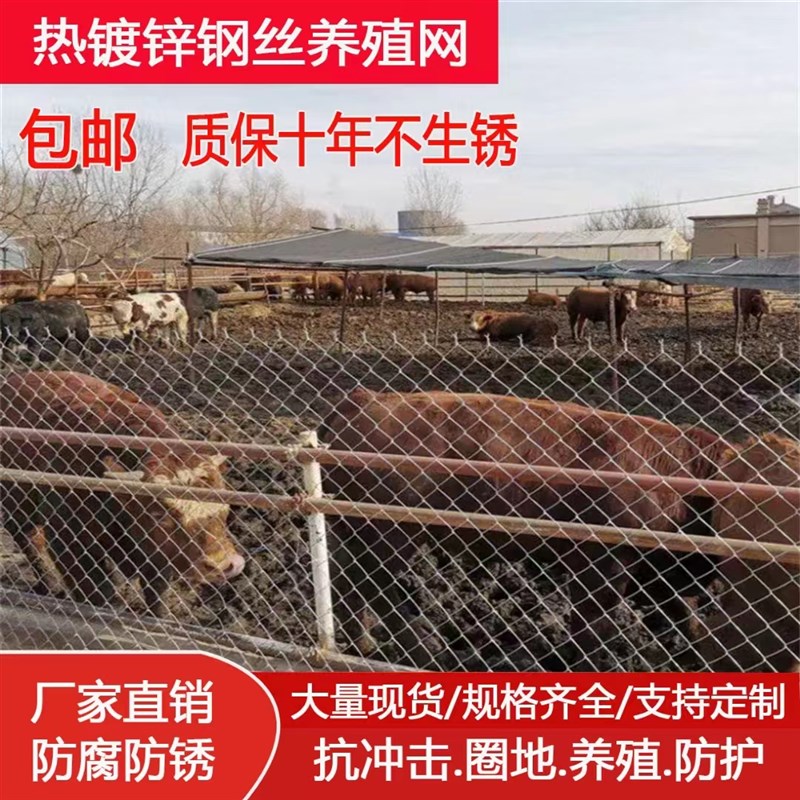 勾花网镀锌防锈铁丝网围栏养殖养狗牛羊钢丝网家用养鸡护栏隔离网