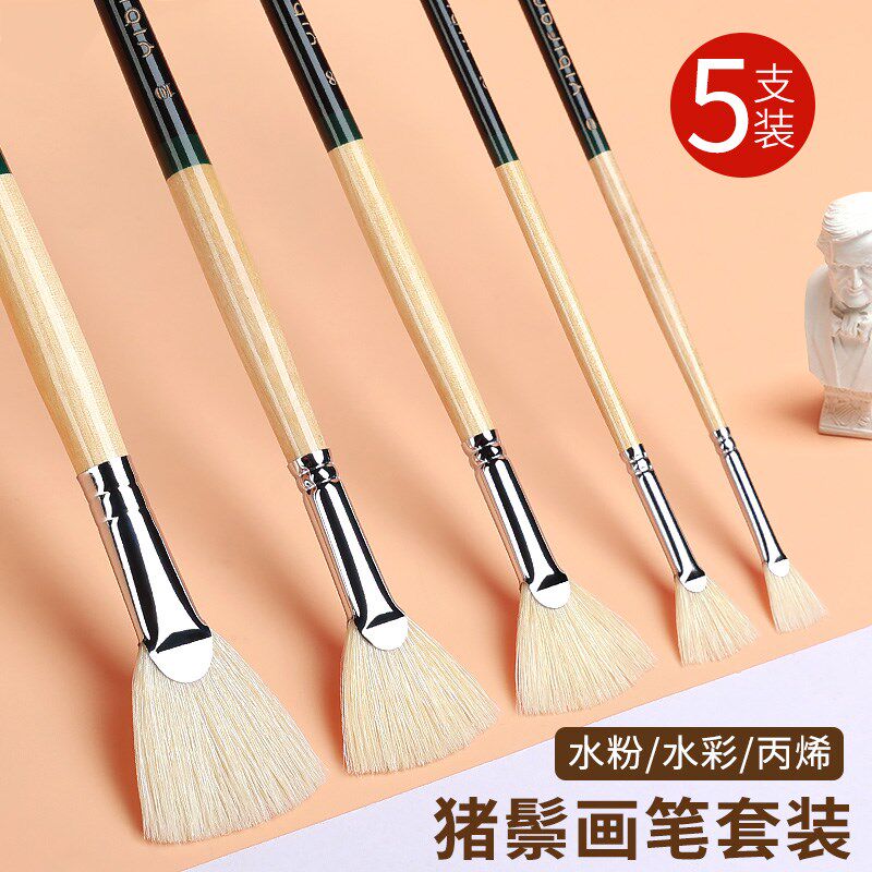美术专用猪鬃扇形笔鱼尾水粉笔油画笔5支套装丙烯笔艺考绘画猪鬃