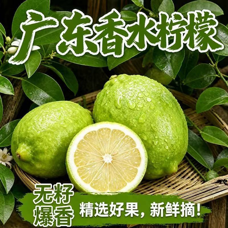 广东香水柠檬新鲜一级果应当季水