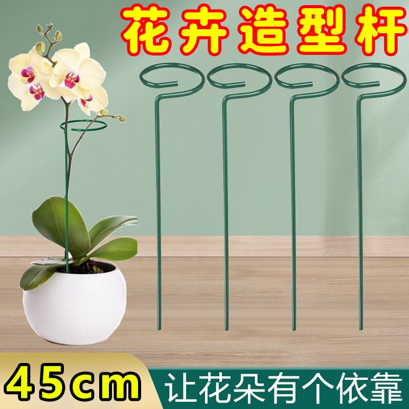 植物防倒伏支架支撑杆铁艺绣球吊兰园艺固定架爬藤花卉朱顶红花架