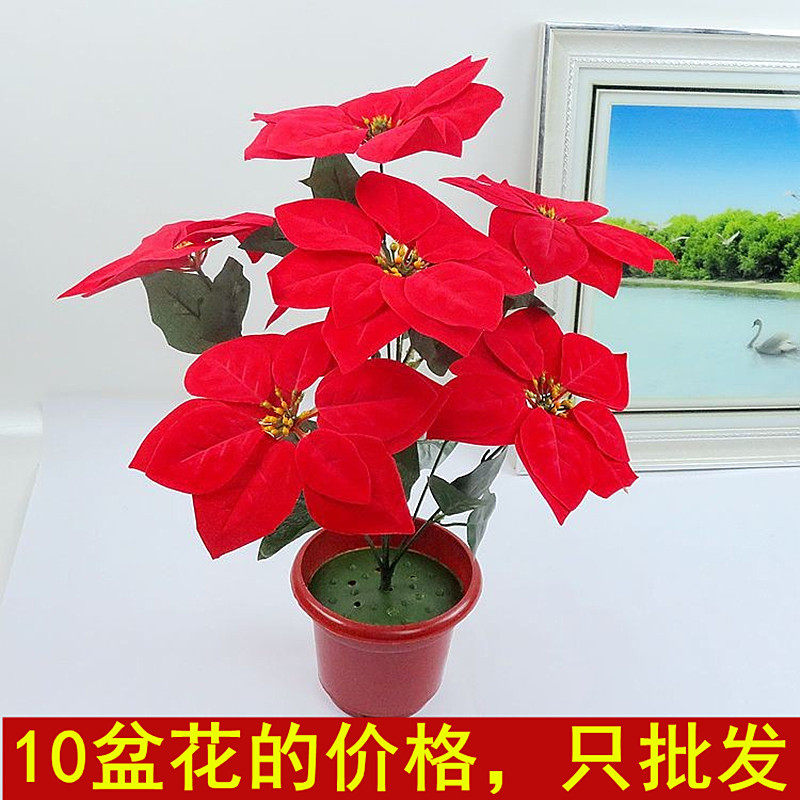 仿真一品红绒布耶诞红色大花朵假花国庆庆典园艺装饰落地摆放盆栽