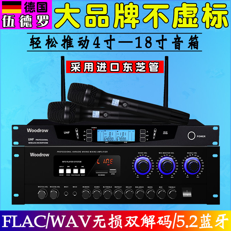 德国伍德罗家用专业大功率KTVAV功放机家庭卡拉OK唱歌专用
