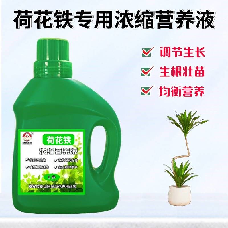荷花铁美人铁专用浓缩营养液家盆栽绿植物通用氮磷钾液体养花肥料