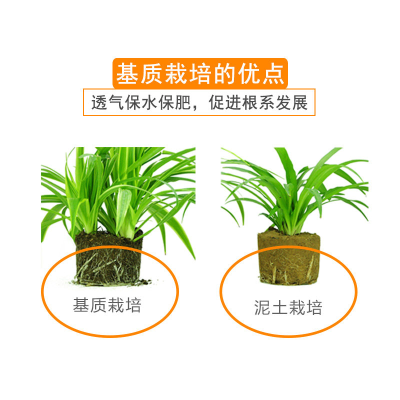 无花果树苗专用花卉盆栽通用土专业配方介质开袋即用5斤装