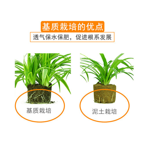 无花果树苗专用花卉盆栽通用土专业配方介质开袋即用5斤装
