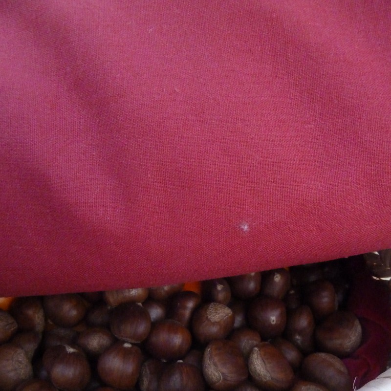 加厚透气酒红板栗被 卖板栗保温被   包子板栗保温被盖 带被罩