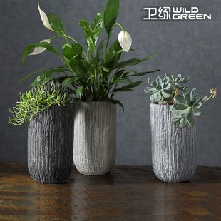 卫绿花卉水泥长条多肉石头兰花盆栽创意大号室内小绿萝高花盆花插