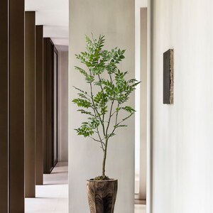 侘寂风绿植落地花器整挖实木桶民宿茶室造景植物装饰品摆件大花瓶