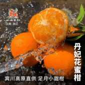 包邮 春日鲜物云南宾川正宗高原直供少籽沃柑当季 新鲜清甜蜜桔蜜橘