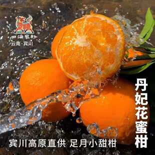 春日鲜物云南宾川正宗高原直供少籽沃柑当季新鲜清甜蜜桔蜜橘包邮