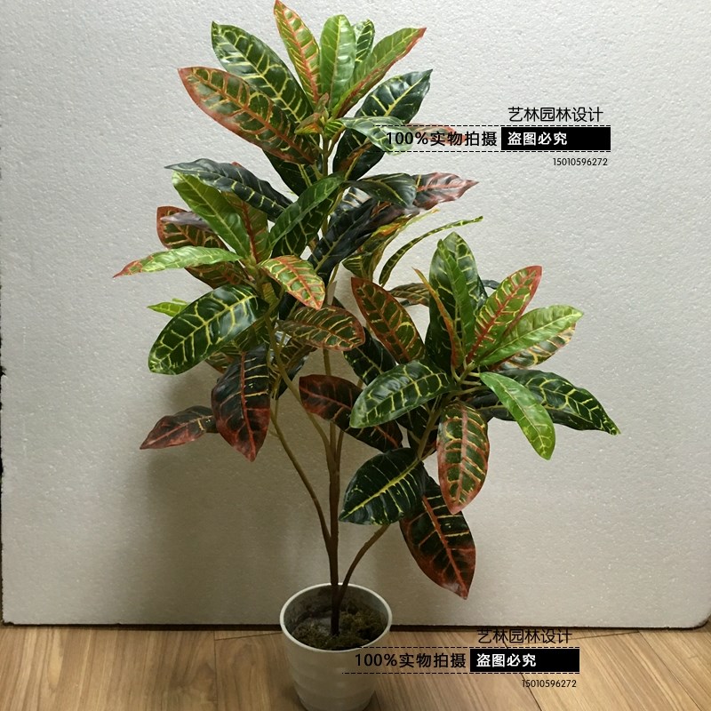 仿真变色木仿真树盆栽假树大厅酒店装饰落地假花热带植物洒金榕
