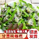 独立小包装 甘草橄榄潮汕特产正宗九制咸甜橄榄果脯休闲茶点