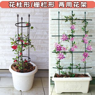 海蒂 花园园之助包塑爬藤架花架花柱阳台庭院盆栽地栽花卉植物