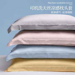48X74cm夏F季 100支天丝枕套一对装 家用裸睡枕头套单人夏凉枕芯套