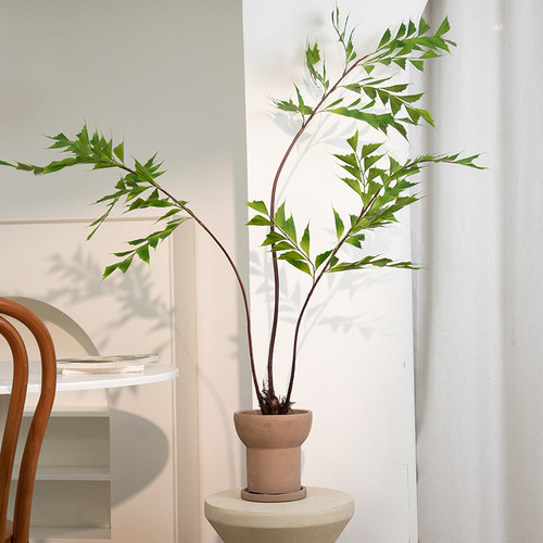 Na家花房彷真竹芋假绿植客厅桌面摆件家居装饰彷生植物海芋叶盆栽