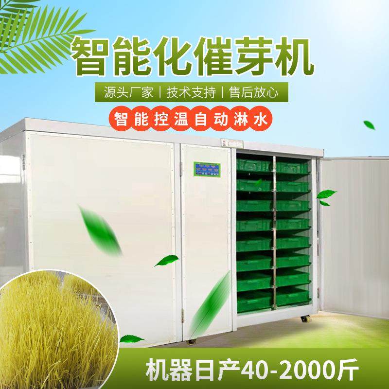 芽苗菜发芽机催芽机商用智能化芽苗机豌豆苗萝卜苗种子催芽机
