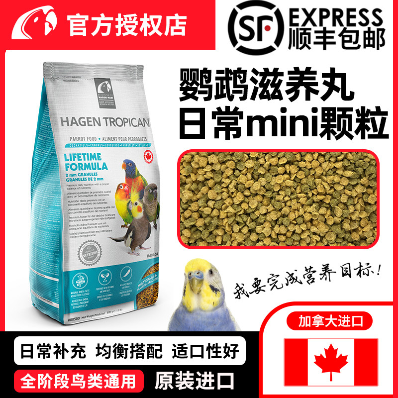 哈根哈利鹦鹉滋养丸2mm日常迷你