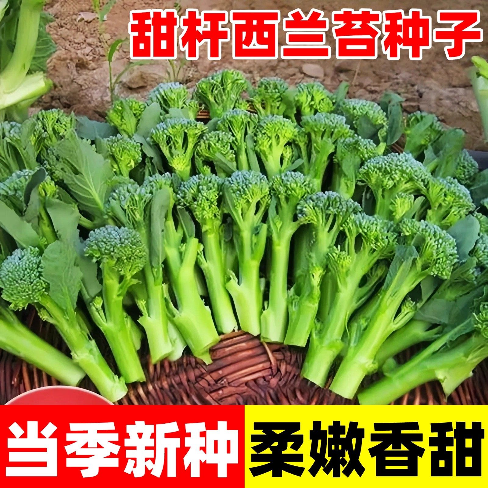 云南新鲜兰花苔西兰花苔芥蓝菜农家自种西兰花脆嫩兰花菜苔新鲜,鲜花速递/花卉仿真/绿植园艺,种苗/半成品盆栽,淘宝优惠券,粉丝福利购,淘宝优惠卷