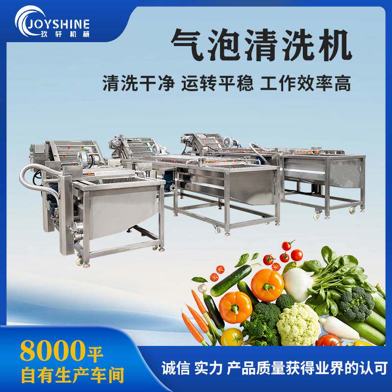 草莓樱桃清洗设备 桑葚蓝莓气泡清洗机 全自动水果清洗机