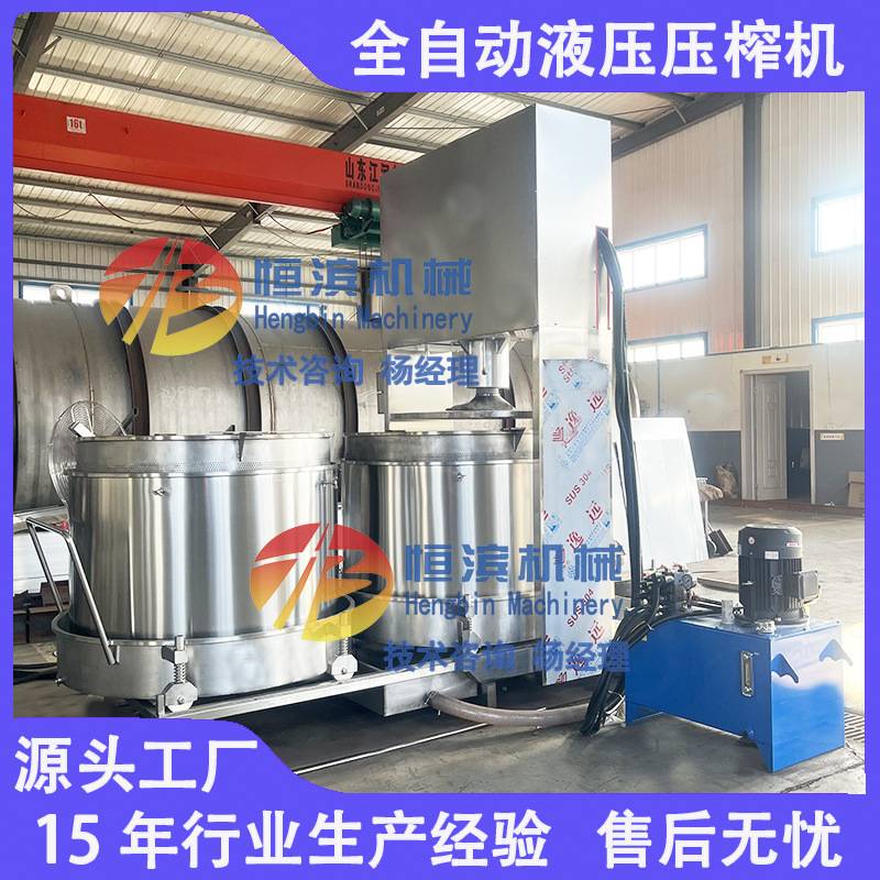 物理冷榨蓝莓果肉液压榨汁机发酵葡萄树莓果汁过滤压榨机
