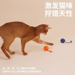 Coni 猫咪玩具自嗨幼猫 life麻绳球猫玩具逗猫棒耐咬猫薄荷球套装