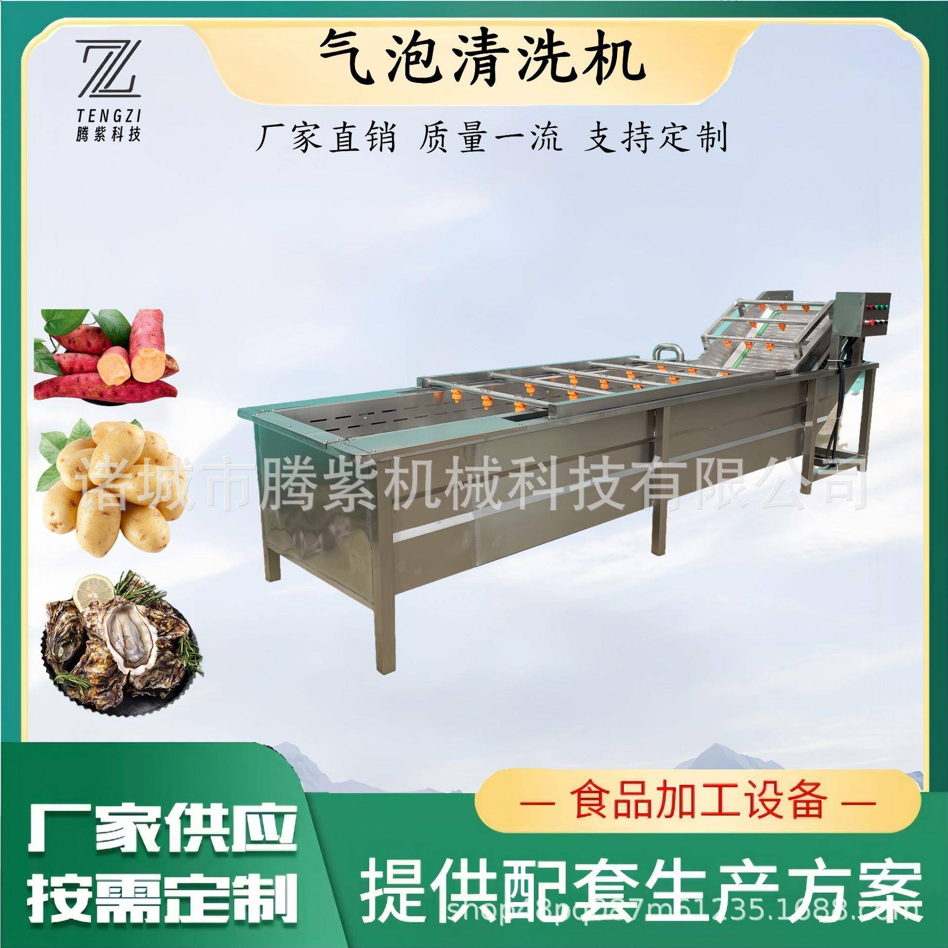 红枣清洗机大型翻浪式气泡清洗设备葡萄干山野菜草莓清洗流水线