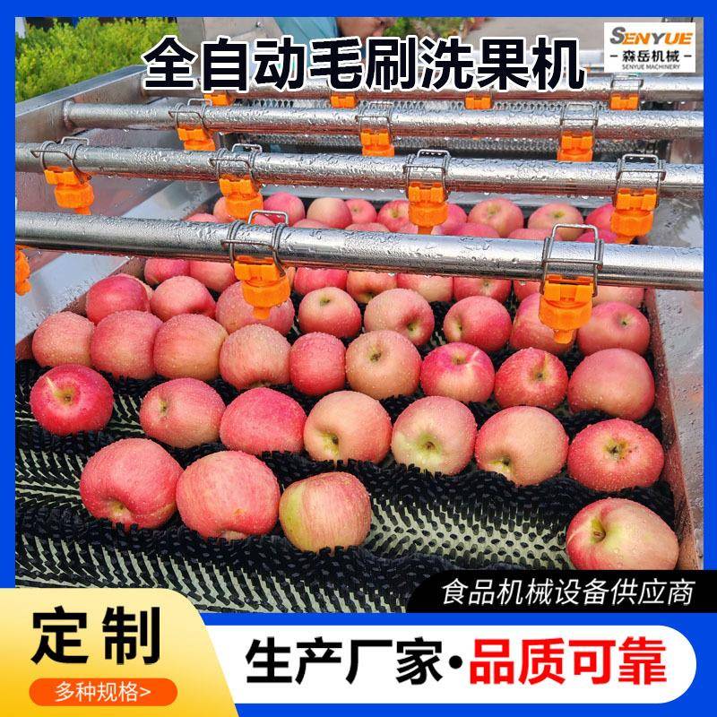 工厂用平行毛辊清洗机全自动百香果毛辊洗果机大枣去杂毛刷清洗机
