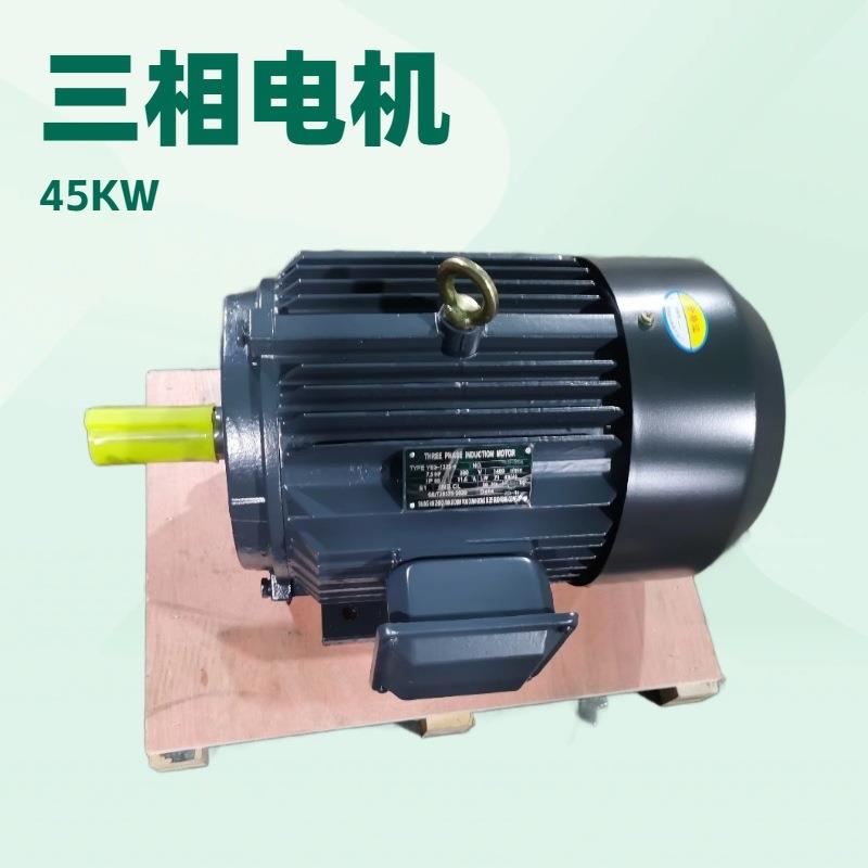 YE2YE4Y2YE3-200L1-6-18.5W6极三相电机三相异步电动机电机