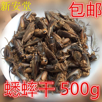 蟋蟀干中药材 500克包邮 将军干 蝗虫包邮干500g 将军虫 蝗虫粉