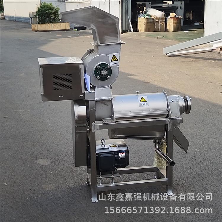 工业枇杷杨梅去核打浆机大型椰子破碎脱汁机商用芒果牛油果压榨机