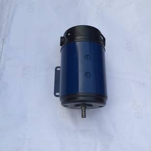 rpm 110SZ04直流电机直流伺服电动机110SZ200W220V3000r min