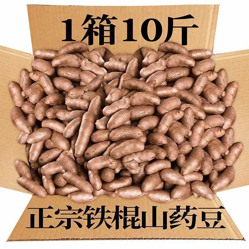 2025年新山药豆新鲜铁棍山药豆农家冰糖葫芦专用山药豆特大号整箱