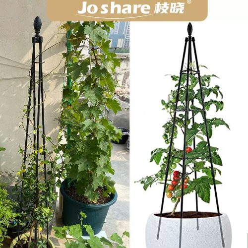 花卉爬藤架支架塔形花架撑花月季爬藤架植物爬藤架铁线莲爬藤架