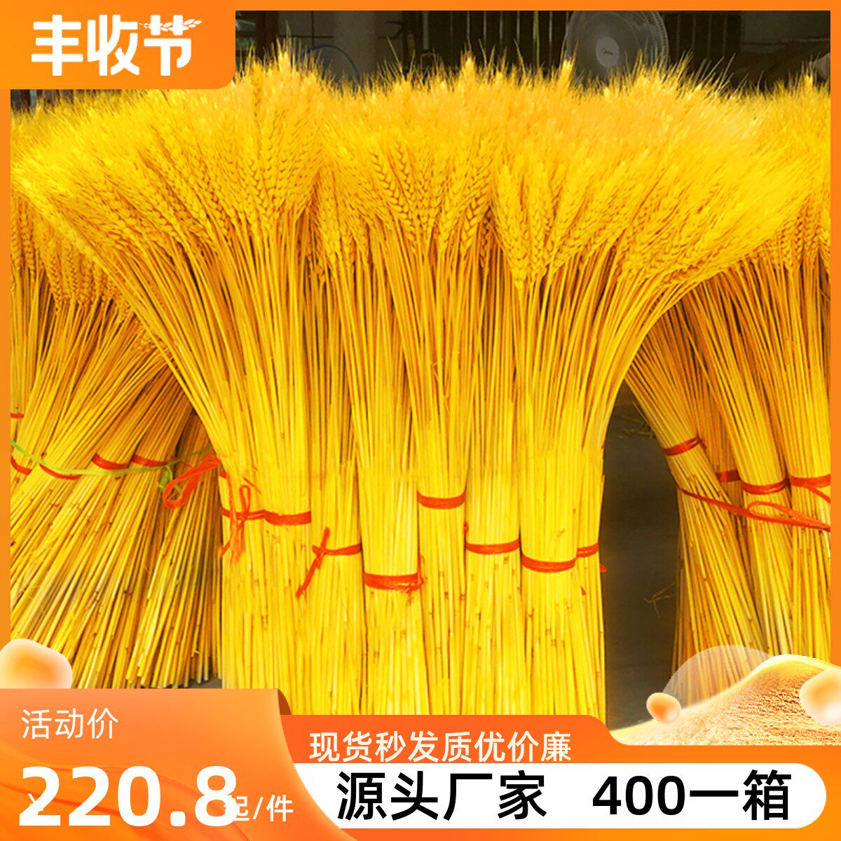 天然金色麦穗开 业麦干 干燥花鲜花插花拍照道具花束