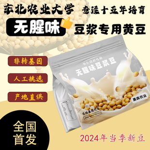 无腥味豆浆专用黄豆东北农业大学专注十五年培育非转基因五谷杂粮
