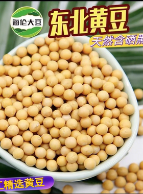 东北黄豆黑龙江农家自种老品种非转基因黄豆新货五谷杂粮打豆浆