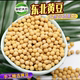 东北黄豆黑龙江农家自种老品种非转基因黄豆新货五谷杂粮打豆浆