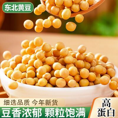 东北黄豆黑龙江豆种转商品黄豆新货五谷杂粮打豆浆