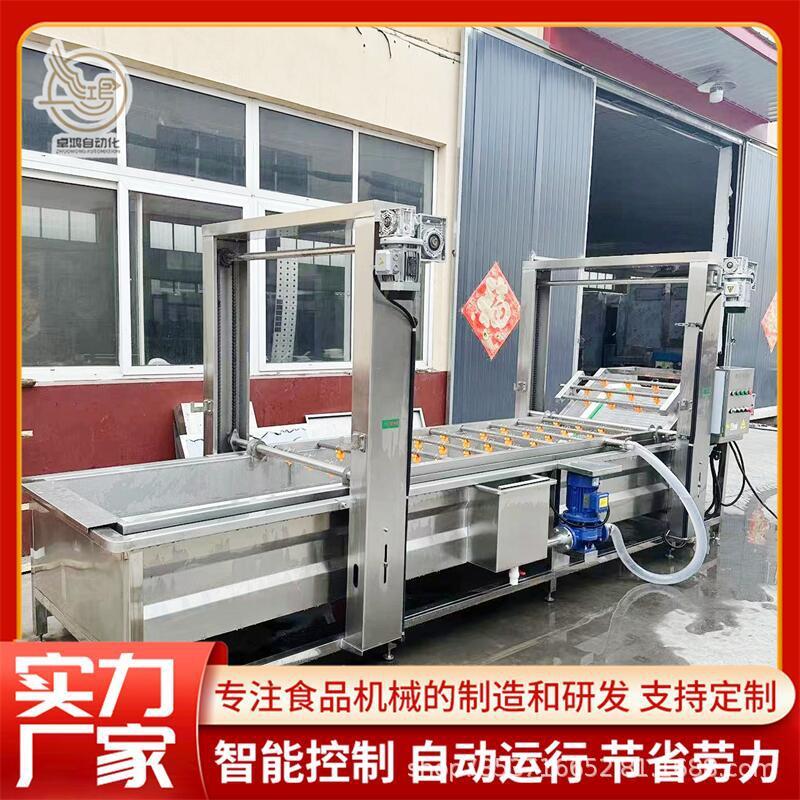 易清洁提升式香菇清洗机大型食用菌加工设备商用松茸气泡清洗机