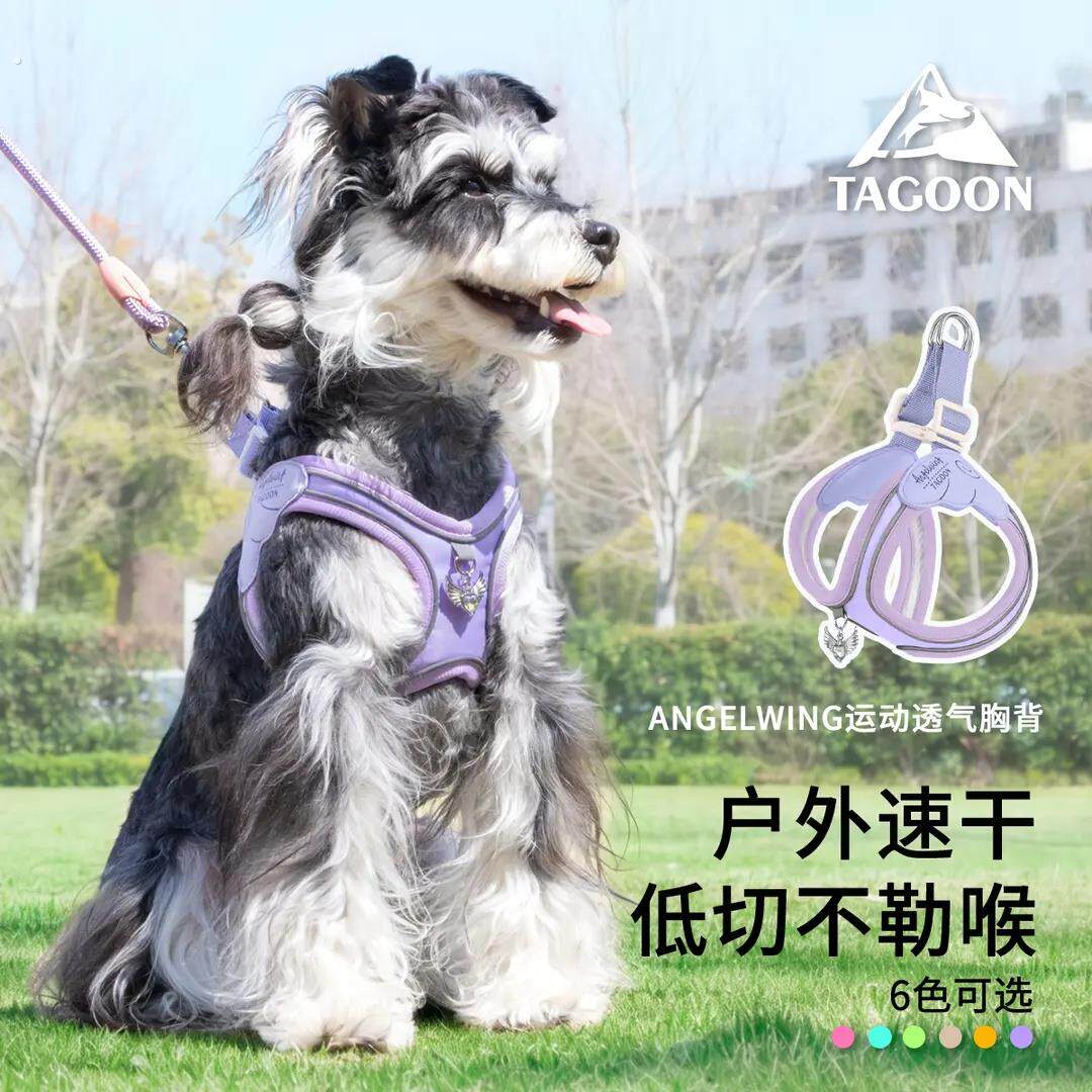 四季款狗狗牵引绳小型犬猫咪通用胸背舒适透气轻量化遛狗绳不勒脖