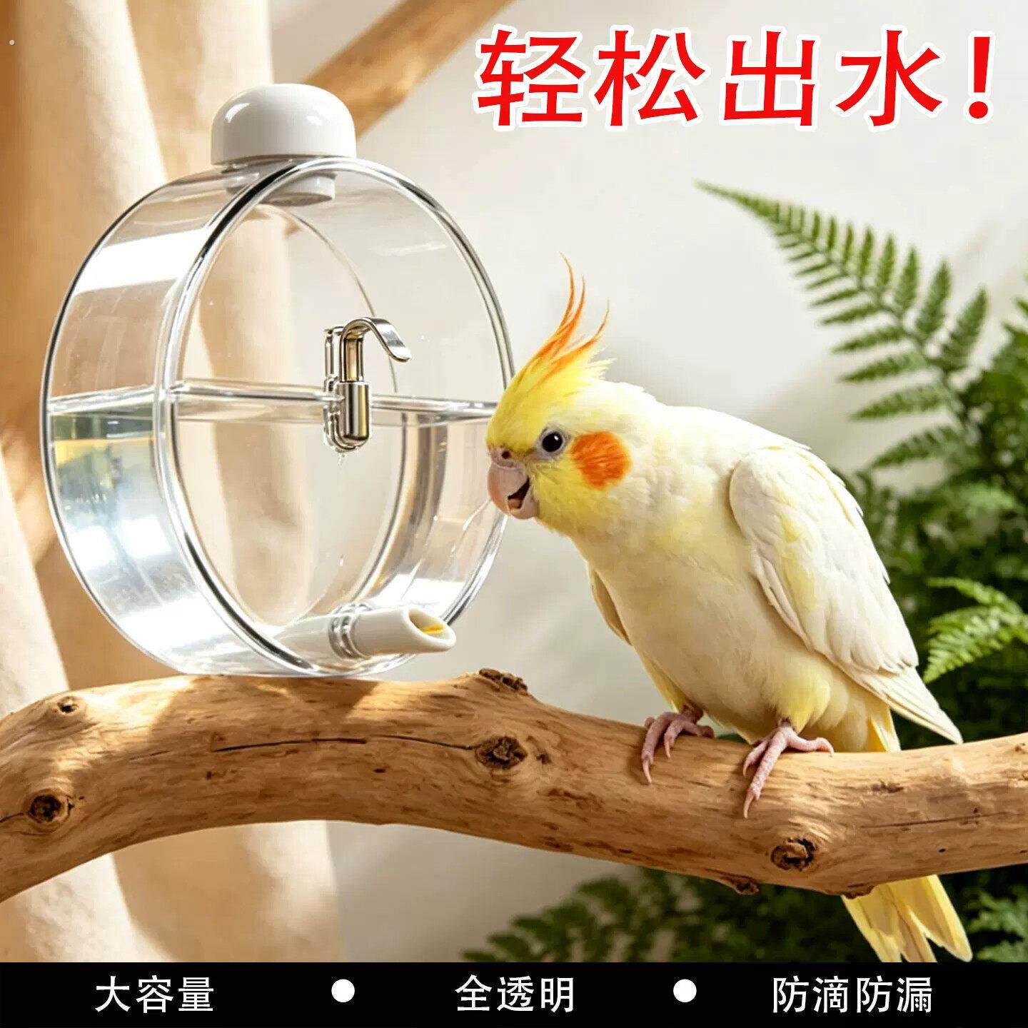 鹦鹉撞针饮水器自动太空舱水壶鸟用喂水神器牡丹虎皮小太阳喝水器