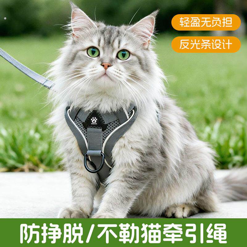 猫咪牵引绳防挣脱可调节外出专用透气胸背带工字型背心式溜猫神器