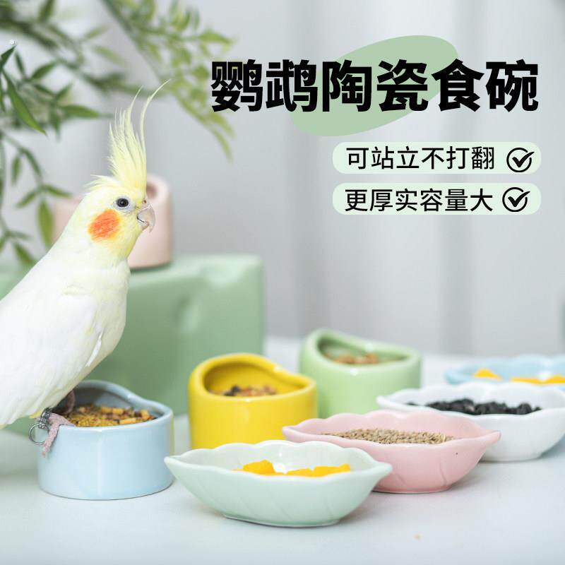 鹦鹉陶瓷食碗幼鸟学吃防撒鸟食罐水碗食盒玄凤鹦鹉笼鸟笼配件大全