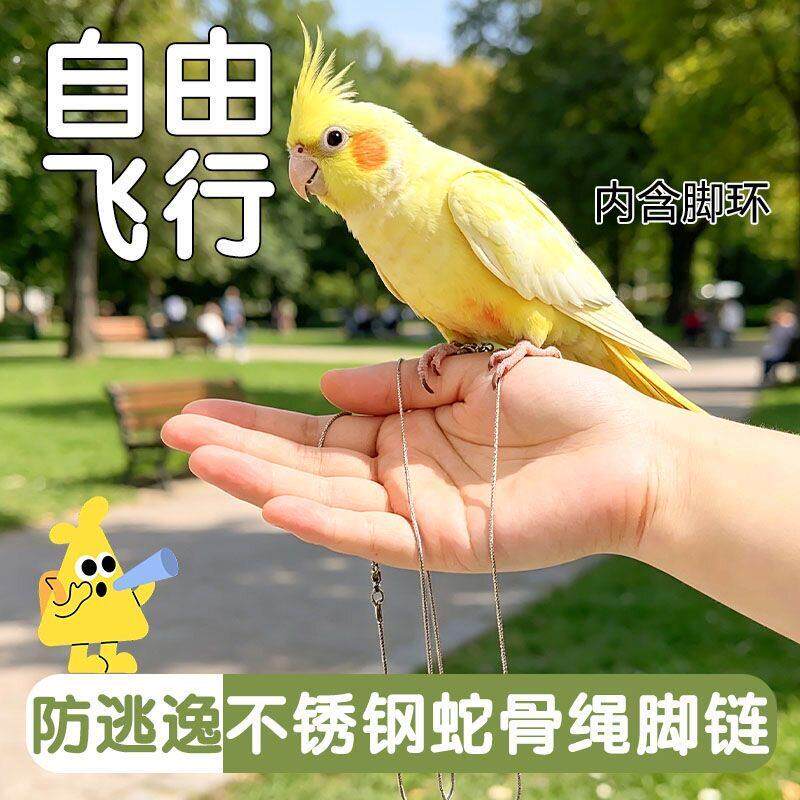 鹦鹉蛇骨链牵引绳不伤脚超轻鸟用外出不锈钢放飞绳脚环脚链遛鸟绳