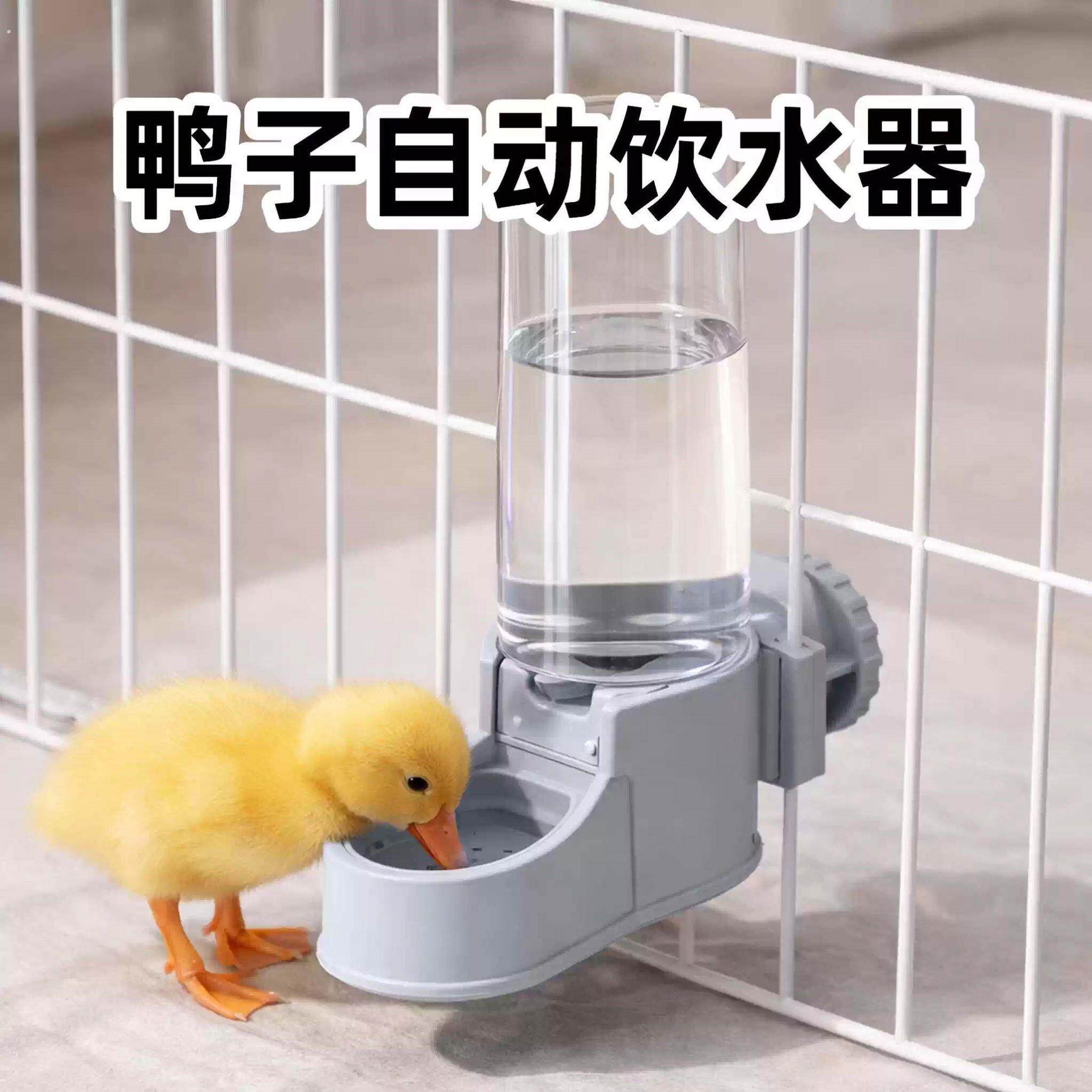 鸭子自动饮水器专用柯尔鸭喂水神器大容量水槽挂笼防撒防溅喝水壶