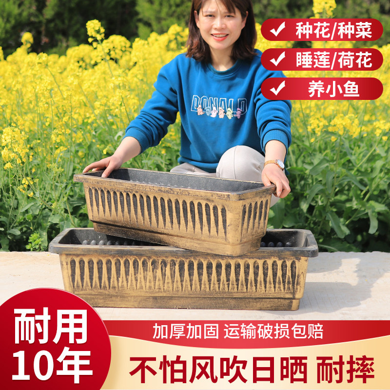 长方形种菜种植箱盆阳台庭院铝花盆加厚树脂睡莲碗莲盆