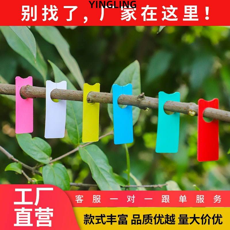 标签牌园艺插牌花卉吊牌植物标签葡萄记号牌葡萄标记卡瓜果标记牌