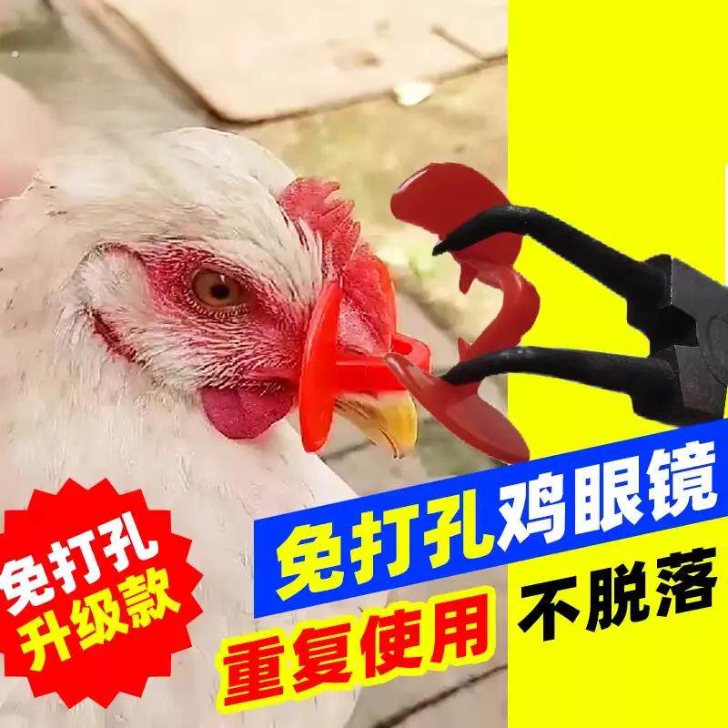 防啄鸡用眼镜鸡眼睛带的眼罩公鸡打架免穿孔鸡嘴卡环无栓卡戴鼻环