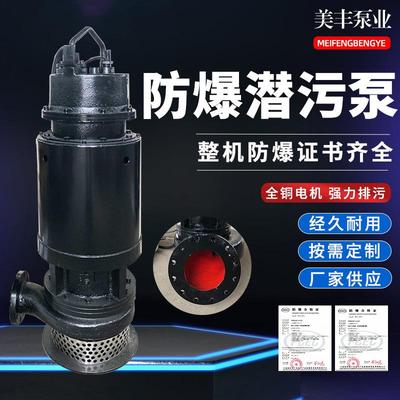 美豊铸铁潜水泵防爆潜污泵污水处理排污泵IICQQW37KW