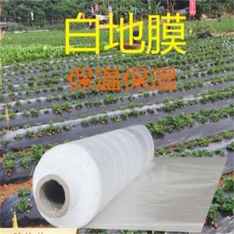 白地膜农用银黑色薄膜果树果园保温保湿蔬菜棚工程混凝土保护薄膜